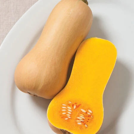 Butterscotch PMR (F1) Squash Seeds