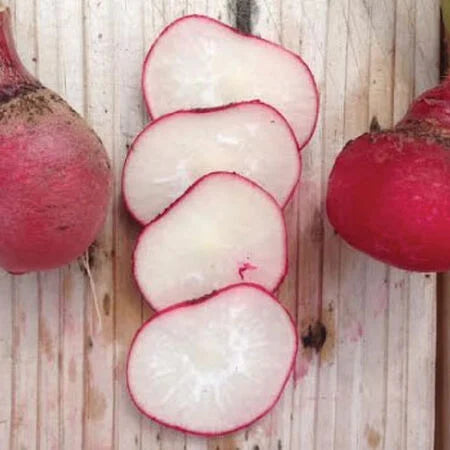 Cherry Belle Radish Seeds