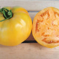 Golden Jubilee Tomato Seeds