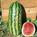 Jubilee Organic Watermelon Seeds