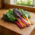 Rainbow Blend Swiss Chard Seeds