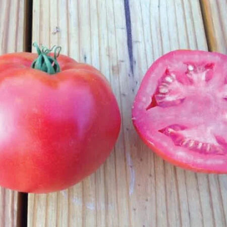 Rutgers Tomato Seeds