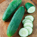 Straight Eight Cucumber Seeds